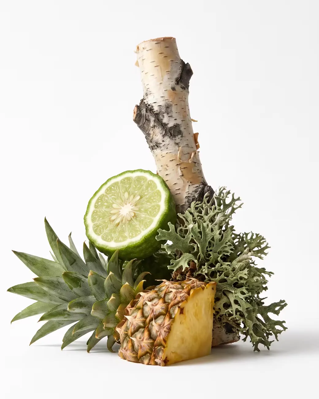 The notes of Treva Dominus: Pineapple, Bergamot, Birch, Oakmoss, Ambergris