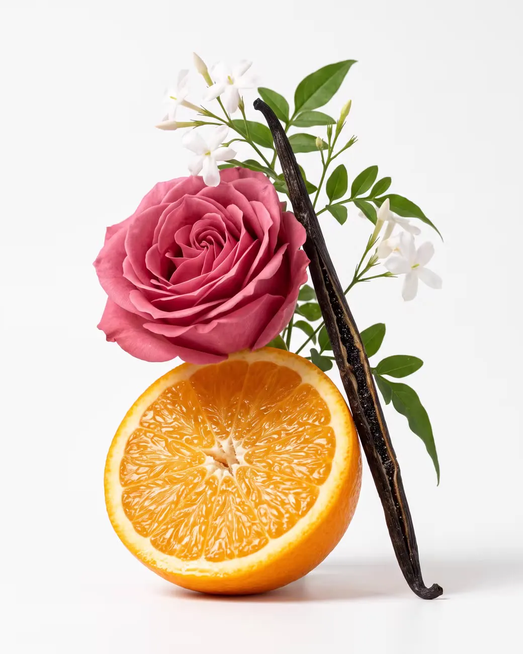 The notes of Treva Reine Camille: Orange, Rose, Jasmine, Patchouli, Vanilla